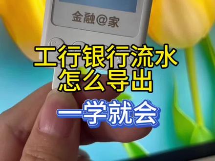 银行流水明细怎么导? #银行流水小知识 #银行明细 #工行企业网银 #会计实操