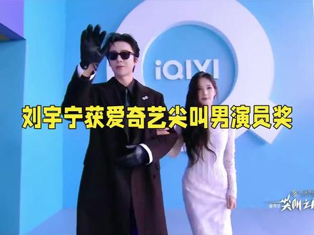 英雄不问出处 十年磨一剑:刘宇宁燃炸2025爱奇艺尖叫之夜#强烈推荐 #刘宇宁 #颁奖典礼