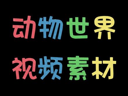 动物世界视频素材#动物 #素材分享 #萌宠 #愿所有的美好和期待都能如约而至 #好东西一起分享