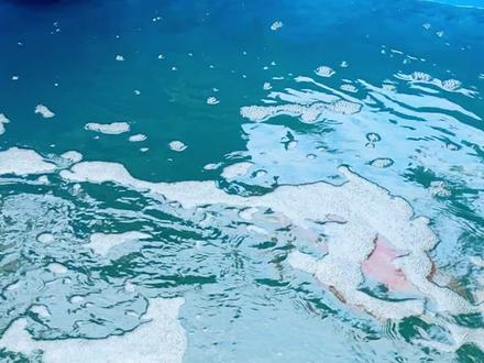 锦鲤鱼池泡沫多氨氮、亚硝酸盐超标可以采取哪些措施#锦鲤鱼池 #鱼池过滤 #庭院鱼池 #鱼池假山
