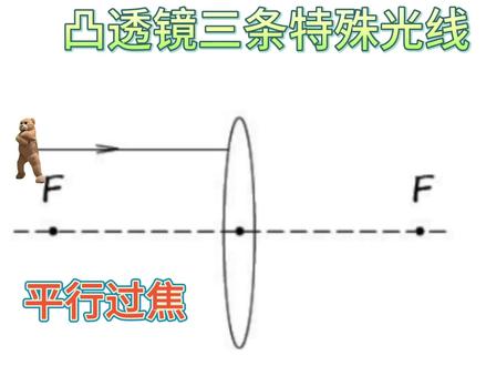 八年级物理透镜特殊光线 #八年级物理 #凸透镜三条特殊光线 #凹透镜三条特殊光线