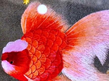 丝线为水,针脚作羽。
绣得金鱼摆尾,引得小鸟轻啼。
方寸绣布之间,藏着一整个灵动世界。#开封非遗市集 #刺绣 #开封宋绣#非物质文化遗产 #传承文化 @抖加🔥上热门🔥dou+🔥热点宝 @抖加上热门
