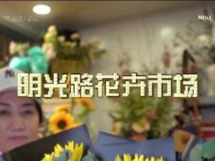 这下大家知道为什么菊花只能送单数了吧。#一束花的仪式感 #清明节