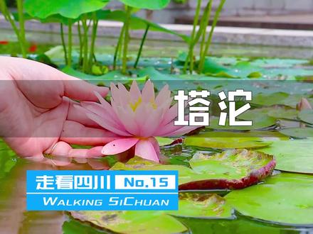 走看四川15:塔沱经历宋朝战乱,再后变成寺院,最后成学府书院 #达州 #塔沱 #龙爪山 #龙爪塔 #朝阳寺