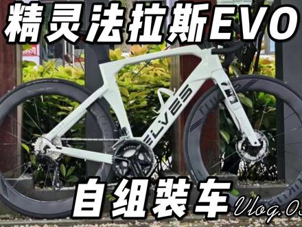 精灵法拉斯EVO 自组装车