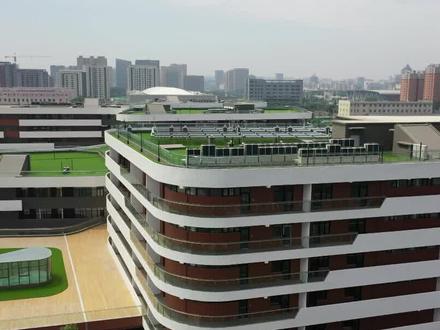 潍坊中小学寒假时间确定,家长们做好准备了吗?