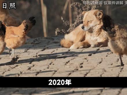 莒县浮来山街道卢家屯村党支部书记宋全法的腐败之路#大案纪实 #我的观影报告 #日照 #莒县