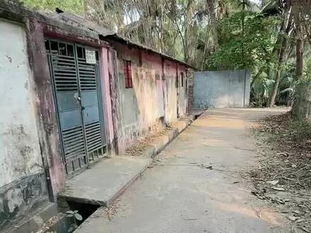 超级女侠nimo 吩咐老板,真真太美老板娘担忧 #杉野世界行