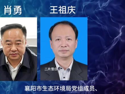 湖北襄阳被查的3人#湖北#襄阳 #关注 #襄阳 #反腐倡廉 #湖北本地人