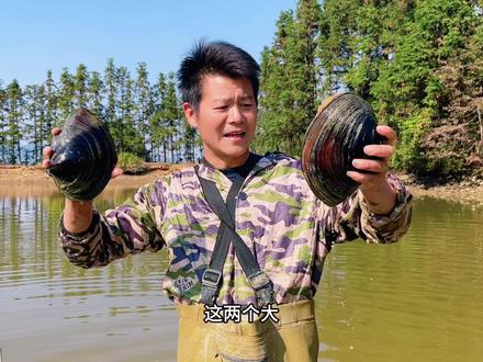 干鱼塘放水最期待的就是摸河蚌了,一捡就是一大桶,这哪里吃的完呀#我的乡村生活 #户外 #便宜好吃的零食