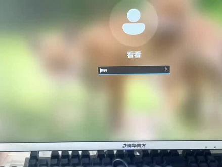 windows11用命令解除密码#电脑知识 #电脑小技巧