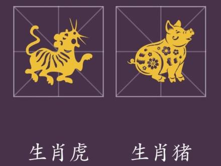 生肖中虎与猪居然相合?到底是怎么回事,快来看是不是你的生肖属性#传统文化 #生肖 #相合