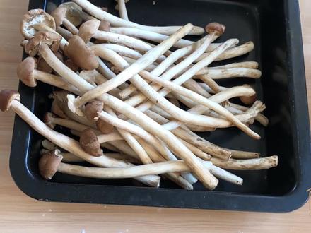 茶树菇这样做太香了,越嚼越香,下饭特别棒,和饭店的一样好吃