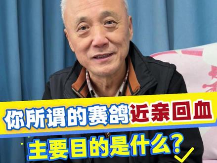 你所谓的赛鸽近亲回血,主要目的是什么? #养鸽人 #信鸽赛鸽 #鸽子 #赛鸽比赛 #鸽子信鸽