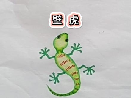 #萌知计划 壁虎是夏天的守护者!一起画壁虎吧,别忘了评论区交流一下哦!#趣味晕染画壁虎 #零基础学画画 #学前教育 #育儿 @抖音青少年