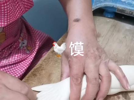 人常说:没见过你的蒸馍捏鸡,看看你喜欢的双击加关注