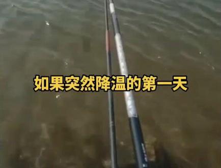 断崖式降温,打龟的一天!#2022dou来钓鱼 #坐在河边吹吹风 #真实户外 #日常钓一钓