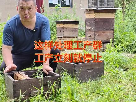 这样处理工产群,工产立刻就停止