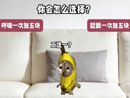 你会怎么选择 #papatown旗舰店 #猫meme #二次元 #男大 #无畏契约