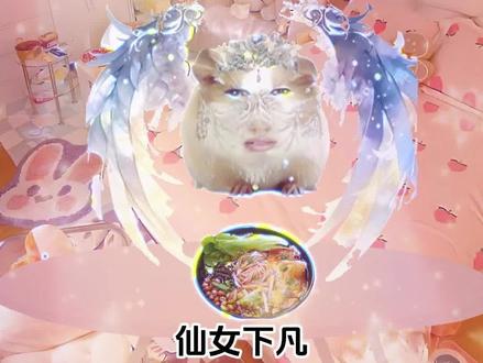 猪妞吃播#猪妞 #猪妞小剧场 #荷兰猪小剧场 #猪妞妞仙女下凡