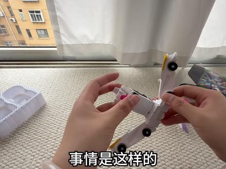 今天和小猫一块玩玩具! #玩具