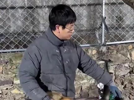 黄黄:骏良你好香 #狗狗 #狗子成精了 #骏良 #直播切片 #跨年一起投dou+