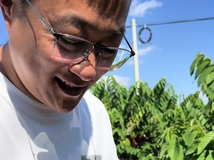 行业小揭:秘释迦果11月之前的自然熟粉的夏季果会存在一定比例的开裂发霉放不熟,大家要小心