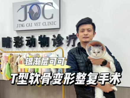 猫咪T型软骨外翻&第三眼睑腺膨出,傻傻分不清楚,专业的事情交给专业的人来做
#宠物医院 #银渐层 #善待动物关爱生命 #宠物眼科