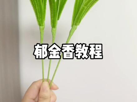 2分钟学会郁金香,新手入门教程,超简单 #手工diy #扭扭棒 #教程 #郁金香 @DOU+小助手 @DOU+上热门