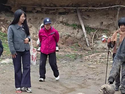 三凤山现状,别来了别来了#三凤山 #山上的狗 #狗 #