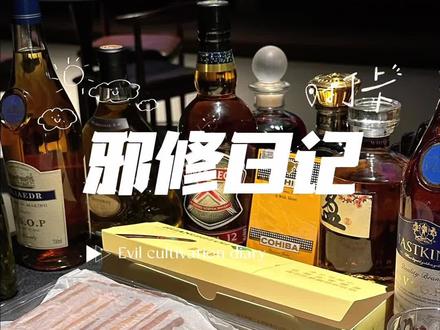 邪修日记后续#vlog日常 #雪茄文化 #微醺