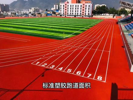 标准塑胶跑道面积,中小学塑胶跑道规格 #塑胶跑道 #塑胶跑道施工 #塑胶跑道厂家 #塑胶跑道材料生产厂家