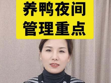 养鸭夜间管理要点#养鸭人 #肉鸭 #番鸭 #养鸭技术 #鸭病