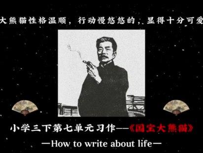 小学三年级下册第七单元习作:《国宝大熊猫 》#小学作文 #小学语文 #习作范文
