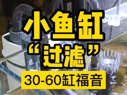 水族鱼缸壁挂过滤器系列XBL
系列自带除油膜超静音大排量养好水配好过滤#水族 #养鱼 #壁挂过滤器 #小缸过滤 #森森壁挂过滤器