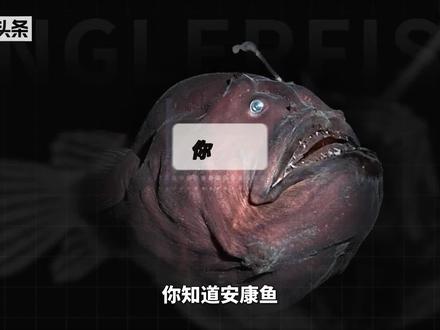 安康鱼——雌雄同体的咸水鱼#安康鱼