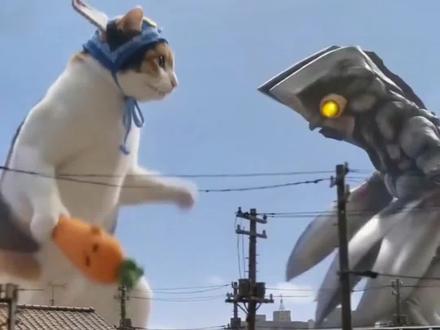 猫咪大战怪兽制作教程 猫咪大战怪兽ai生成 ai特效拍同款#ai大战怪兽 #猫咪打怪兽ai 小云雀ai猫咪打怪兽 小云雀ai猫咪#ai猫咪大战怪兽 猫咪打怪兽ai生成指令 #剪映