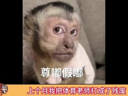 女朋友:爱你不跪的模样,体育老师:你清高