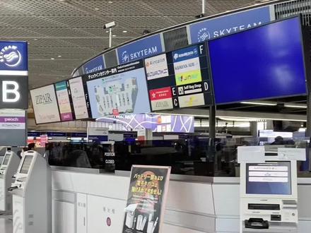 日本回国保姆级攻略#日本回国 #回国机票 #回国攻略 #回国航班