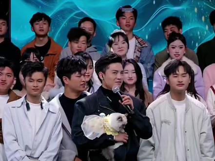 #高杰 高杰说这只猫像豆豆😂