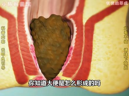 便便的形成#科普#生命科普#科普一下#大便#便便