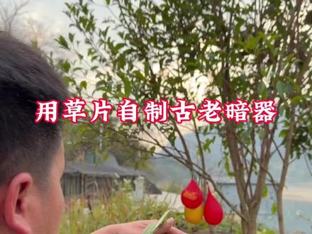 不会吧用草片就能够自制唐门暗器#真实生活分享计划 #趣味实验 #趣味测试 #日常分享