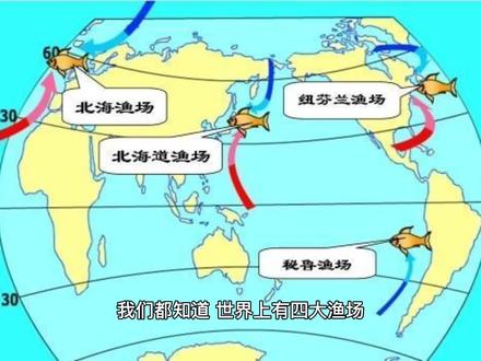 世界四大渔场的形成