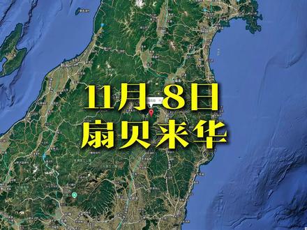 扇贝来华,消息挺炸#国际新闻 #热点 #全球看点 #创作者扶持计划