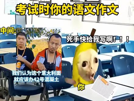 考试时你的语文作文 #猫meme #猫meme小剧场 #考试时你的语文作文 #屎盆子镶金边 @抖音热点