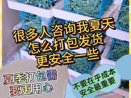 #金丝熊 #仓鼠 #夏天 #打包 发个库存视频 夏天发货一定要看各地区气温情况哦 希望崽崽都平平安安