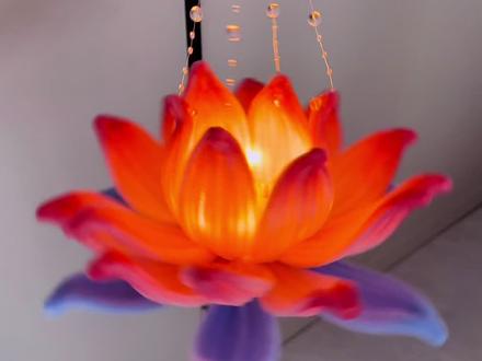 扭扭棒手提荷花灯详细教程来啦!做法简单,快给你家孩子安排上‼️#扭扭棒#莲花灯 #元宵节灯笼 #教程分享 #手工diy