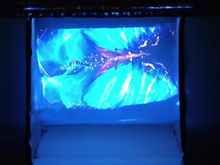 学@丁禹兮 绿色环保,自制全息投影仪。
💚分享我的绿色环保行动💚
变废为宝,自制简易版全息投影仪。
循环利用日常废弃物制作简单的小手工,呼应兮兮说的“让环保成为流行,让绿色成为时尚”。
【材料】:废弃快递纸箱、用完的睫毛塑料盒(塑料片)、剪刀、胶水。
🌸完成后手机可以投影任何视频~当然了,要看我们中国角宣传大使丁禹兮的COP30视频!
💚💚💚💚💚💚💚💚💚💚💚💚💚💚💚💚
【循环利用家庭废弃物有很多好处】
1.降低环境污染:减少废弃纸箱、塑料片的填埋量,避免塑料长期降解释放有毒物质污染土壤和地下水,同时减轻焚烧处理产生的有害气体排放。
2.节约自然资源:纸箱的原料是树木,塑料片的原料多为石油,循环利用能减少对森林砍伐和石油开采,延缓不可再生资源消耗速度。
3.节省处理成本:降低垃圾清运、填埋或焚烧的设施建设与处理成本。低碳环保多一点,生活轻松美一点。@丁禹兮工作室(老板播剧我学剧宣版) #丁禹兮COP30中国角宣传大使 #丁禹兮 #环保 #循环利用 #可持续生活