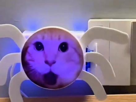 哈基米曼波版关灯神器声控灯智能语音玩具粘上即用家用学生宿舍 #曼波#哈基米#关灯神器#玩个很新的东西 #好物推荐🔥