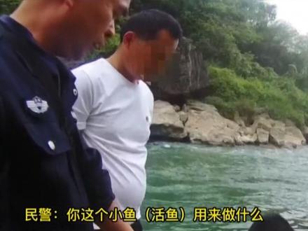 使用鱼、虾、泥鳅等活体水生生物饵料是违法行为,施秉县严厉打击违规垂钓行为#长江十年禁渔期